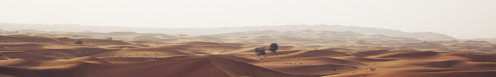 пƻϢѯ޹˾